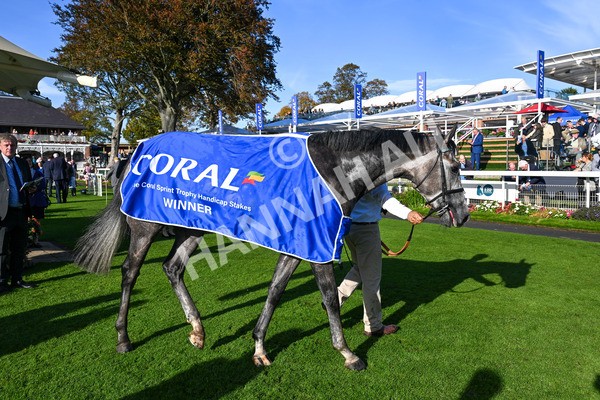 111025-Race 4-Binhareer-0499 - Race 4 Coral Sprint Trophy Handicap at York