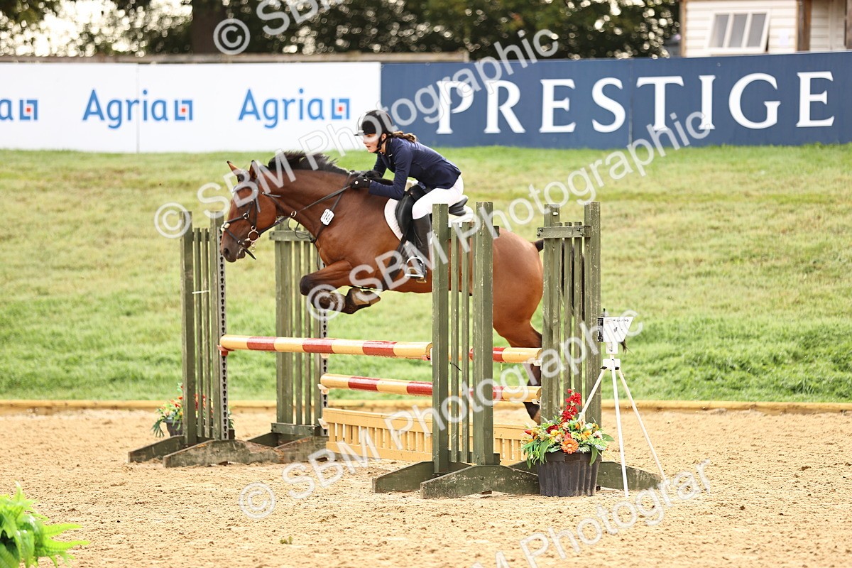 SBM_58193 - J41 - Grand Tour Horse & Pony 95cm