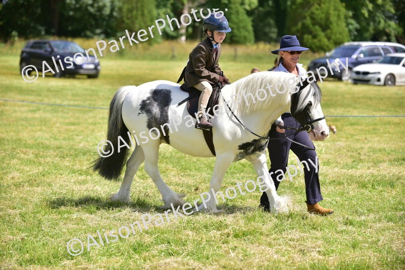 20260614-1225 - Class 11a - Lead Rein Pony (Unplaited)