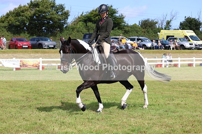 3E7A9852 - Class 5: Rising Star Lightweight/Heavyweight Cobs