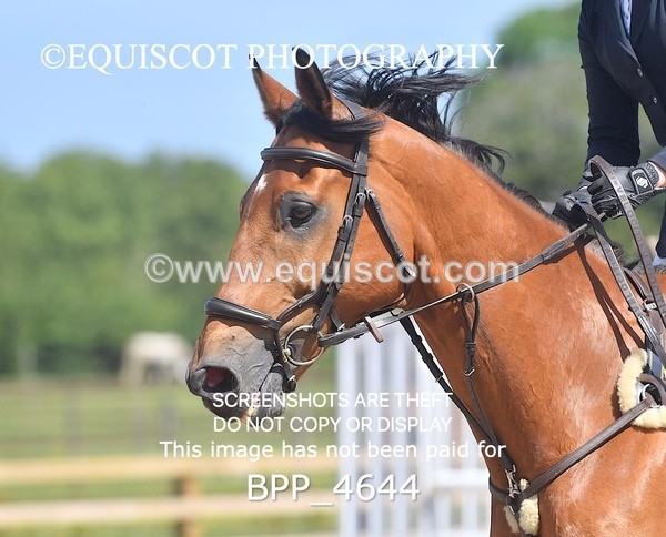 BPP_4644 - CLASS 4 Senior Discovery/ 1m Open