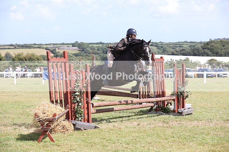 JPP_2224 - Class 19: Working Hunter 60cm