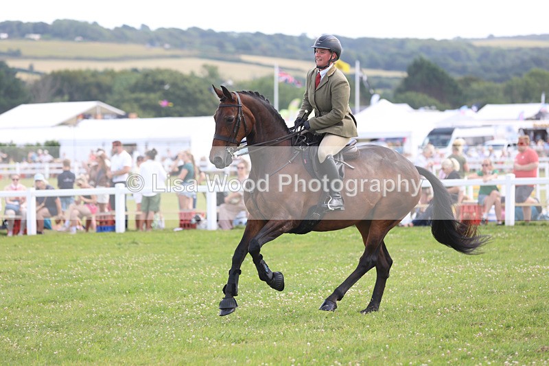 JPP_3779 - Class 23: Working Hunter 80cm