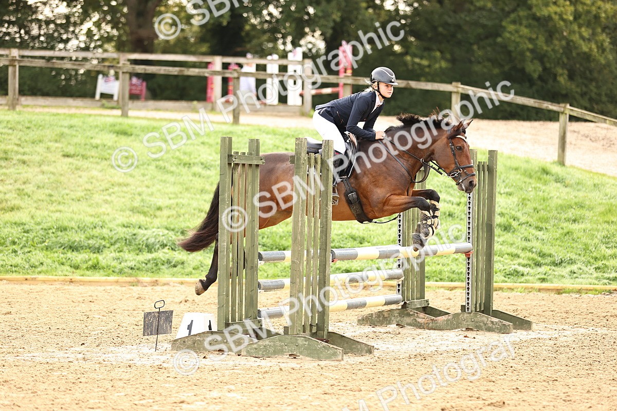 SBM_58417 - J41 - Grand Tour Horse & Pony 95cm