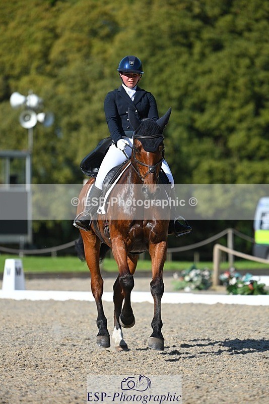 230526-173446-07649 - 264-BALLADEER_JUST_FOR_KICKS-Ellie_Healy-WEDTrotUp+DR