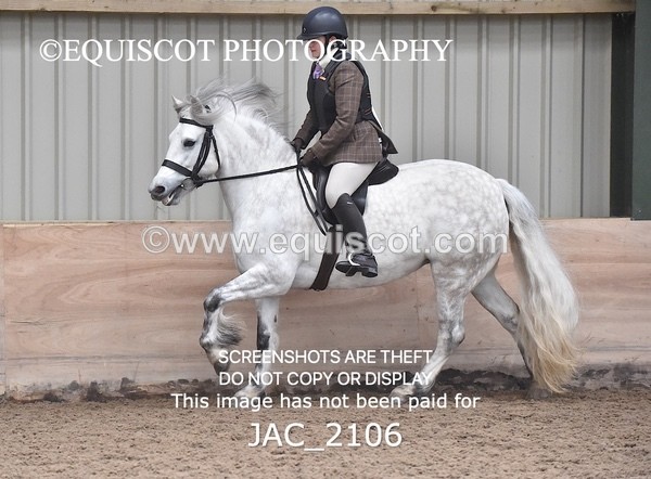 JAC_2106 - CLASS 1 Nursery Novice Working Hunter
