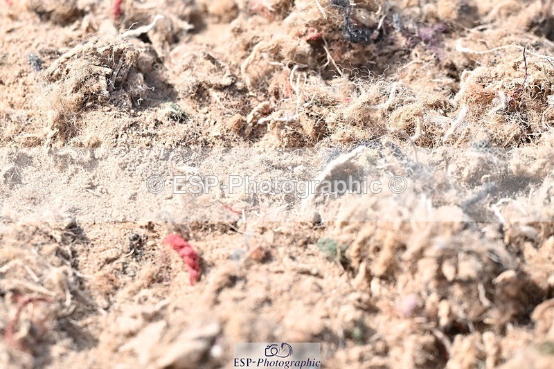 250620-170119-05335 - BD Cls 11 - Medium 6, 16.30 to End