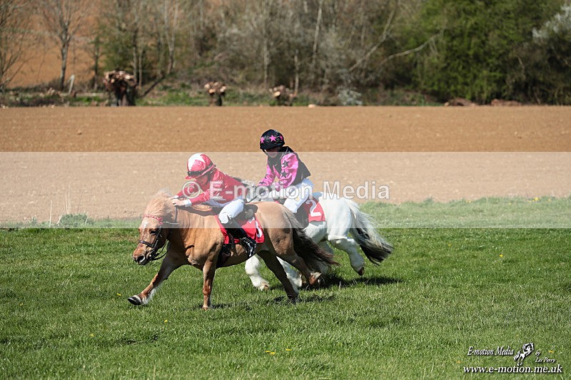 Shet 060426 171 - Shetland Pony Racing Paxford Races Easter Mon 06/04/26