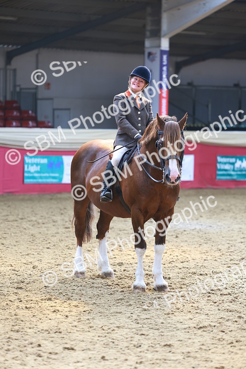 SBM_12642 - Class 103 - HOYS Veteran Qualifier - Ridden Pre Vet