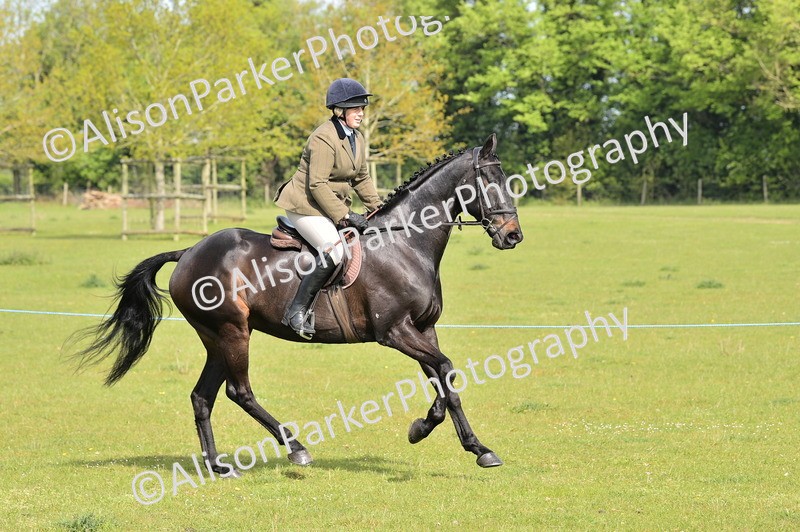 20260426-1128 - Class 19 - Retraining Of Racehorses