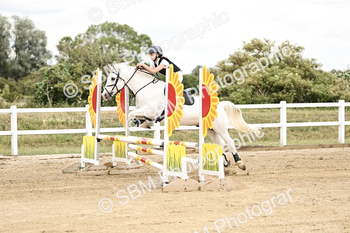 SBM_005303 - 80cm showjumping