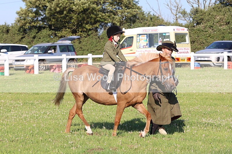 JPP_0759 - Class 16: Cornish Combination Leading Rein