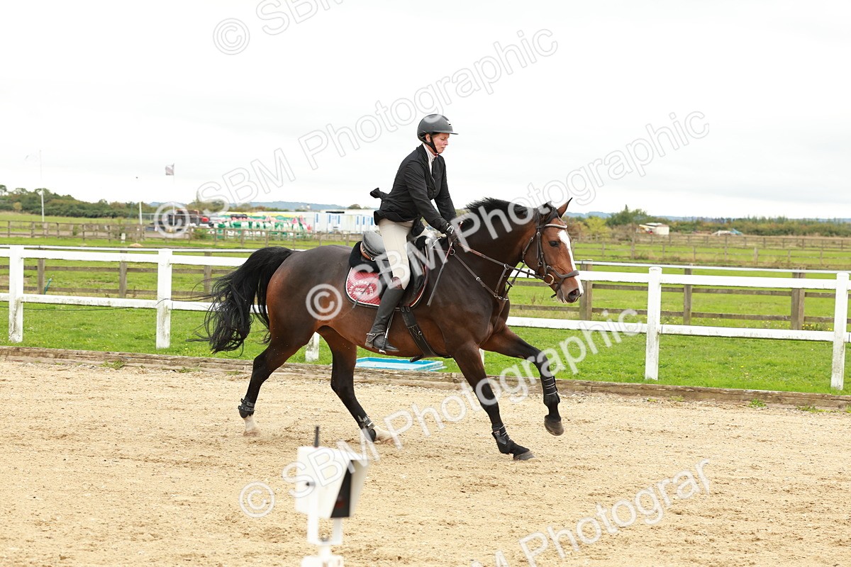 1I0A7042 - Class 2 - Senior British Novice