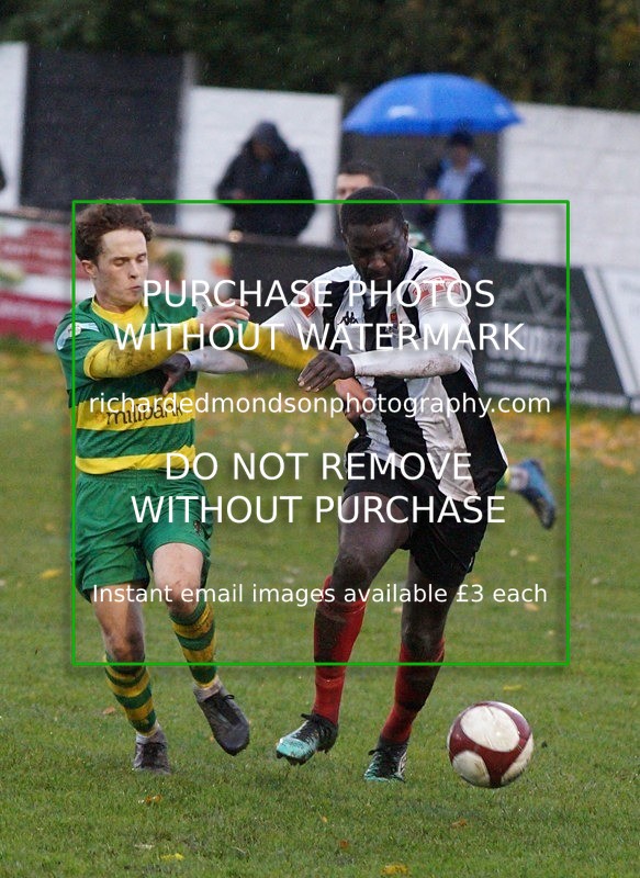 DSC02370 - Runcorn Linnets