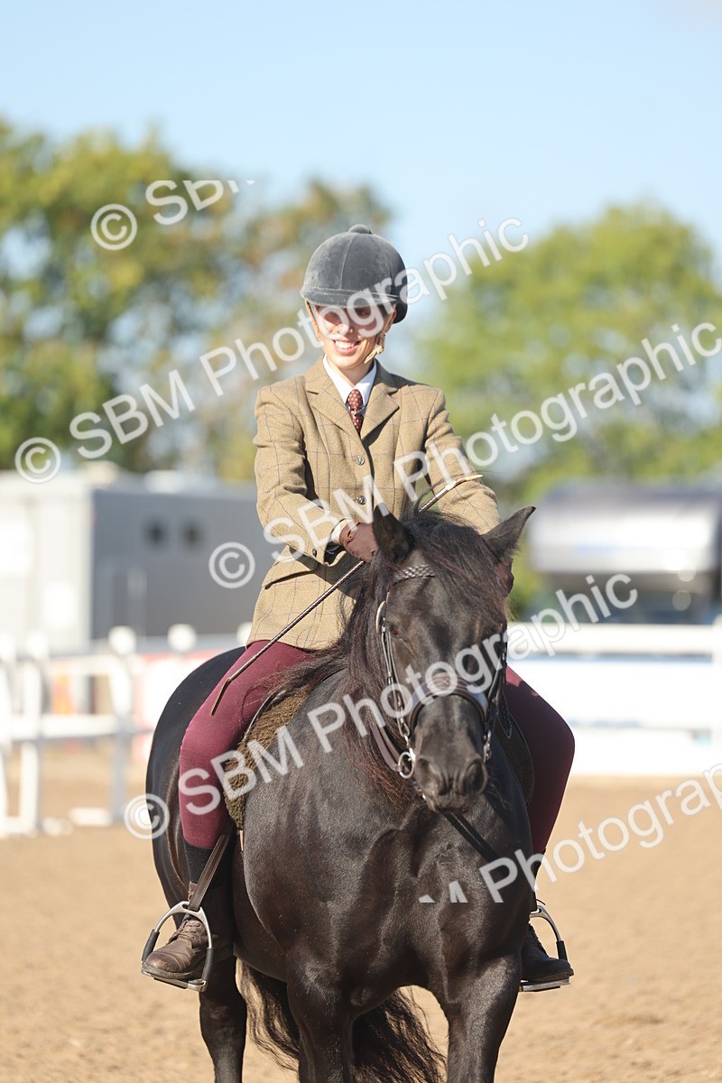 SBM_22231 - Class 802 - Ridden Groom Helpers Class