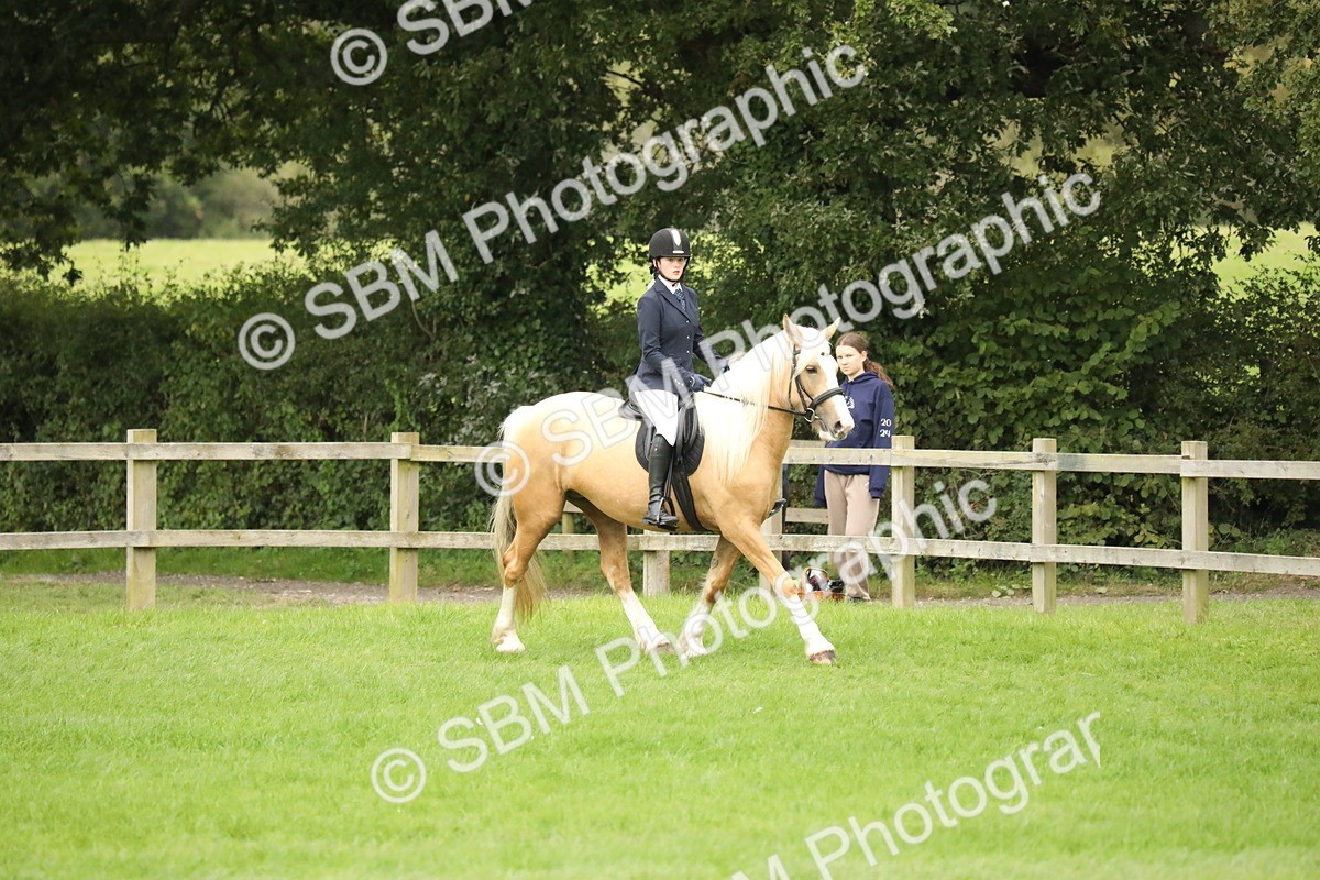 SBM_73707 - S41 - Ridden Equitation (Best Rider)