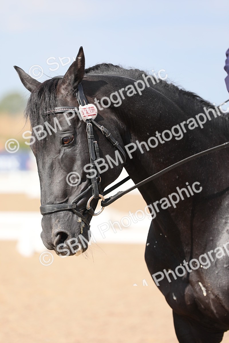 SBM_07599 - Class 33 Elementary 1