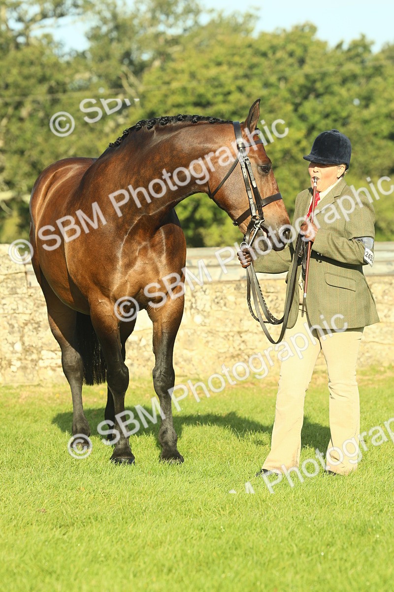 SBM_58594 - S37 - Starters In Hand Showing