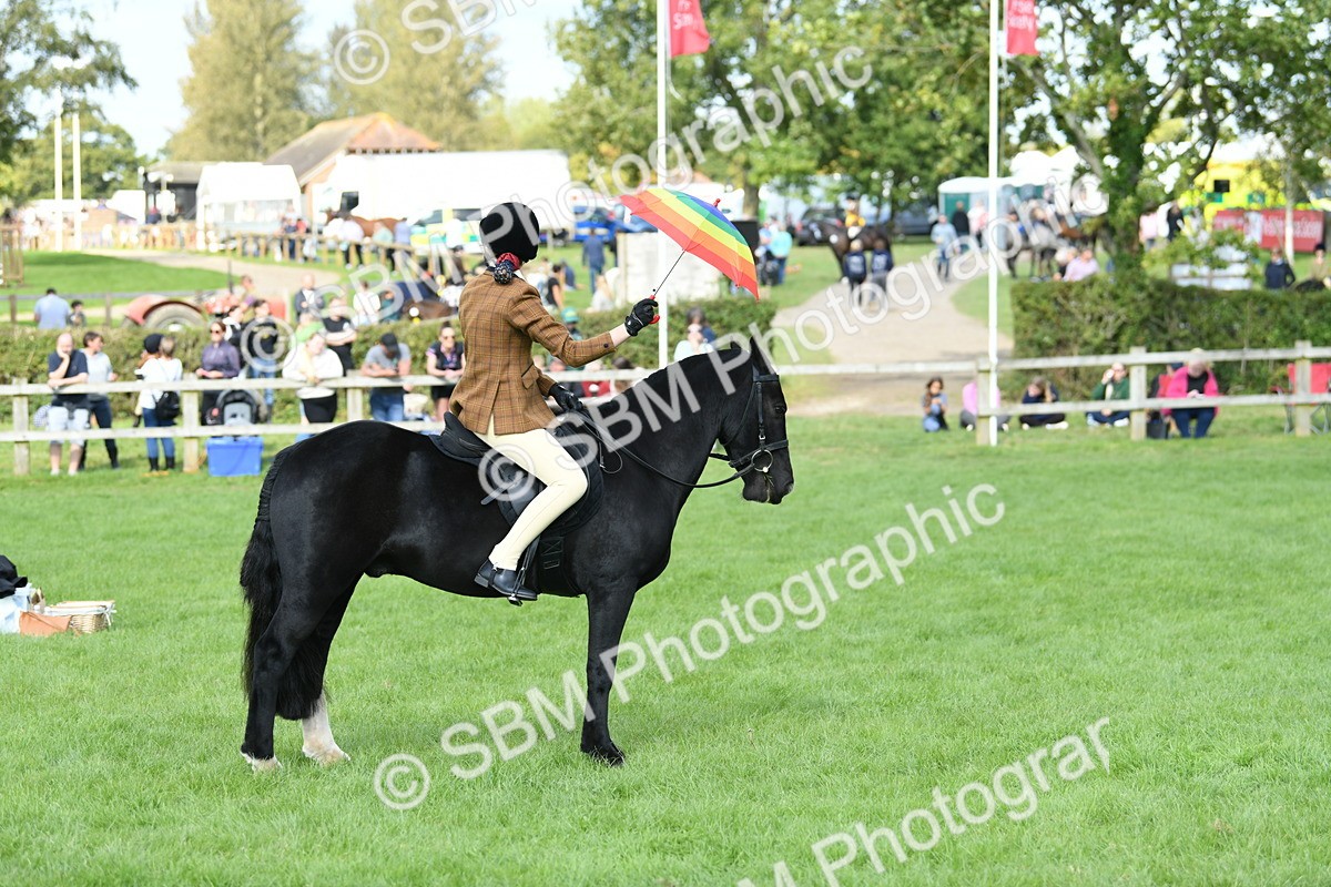 SBM_47076 - S12 - Family Horse & Pony