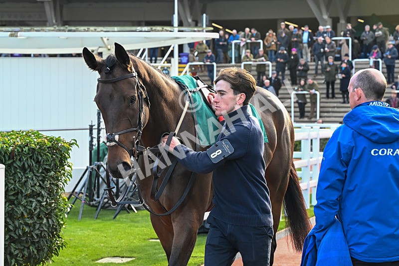 241025-Race 6-Leader Crik-4651 - Race 6