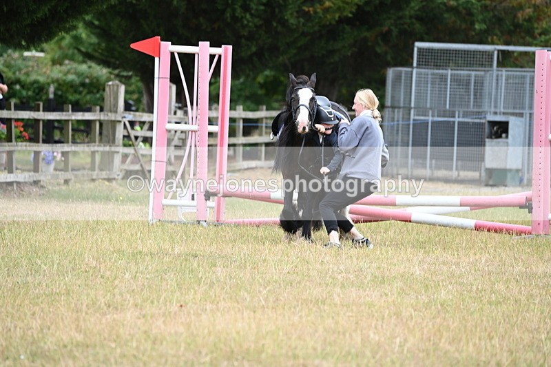 WJ6_9482 - Class 12 Minimus Jumping 45cm