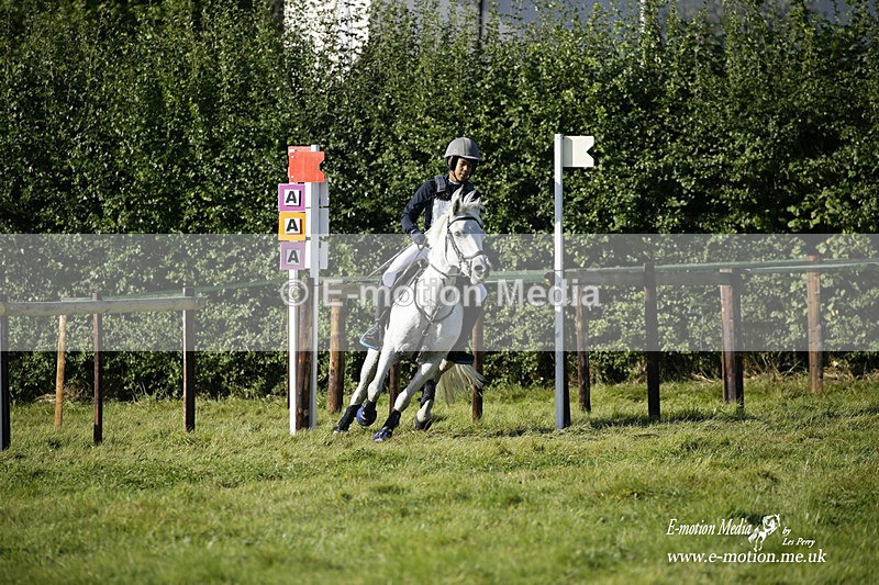  WWHT 031021 695 - WWEC Novice Restricted (0.80m) 18/10/20