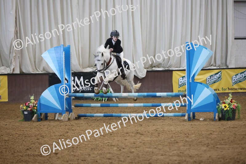 20260314-3822 - 80cm