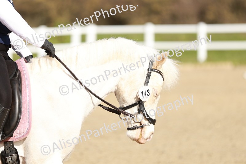 20260314-1107 - DR2 - Intro 3