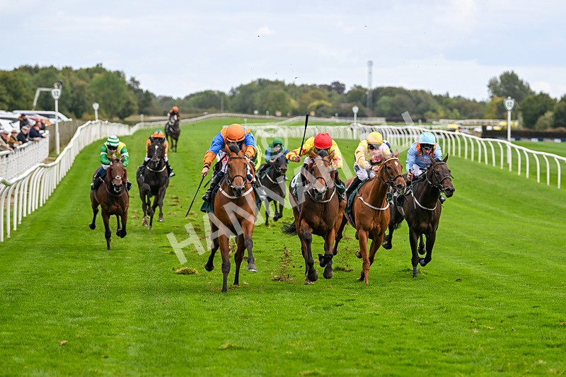 021024-Race 5-Homer Stokes-9531 - Race 5