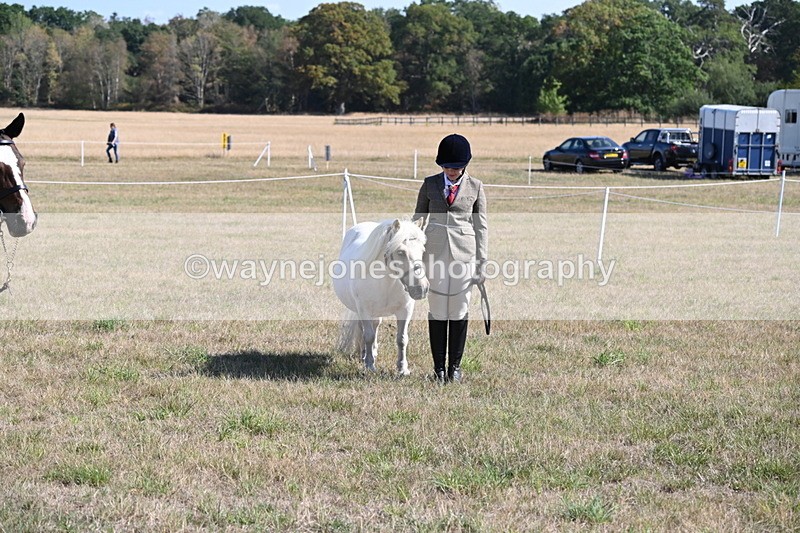 WJ6_4265 - Class 16 Condition & Turn Out