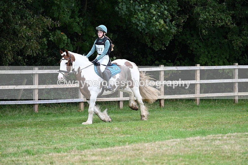 WJ7_7411 - 40cm Time 10:27 to 10:47