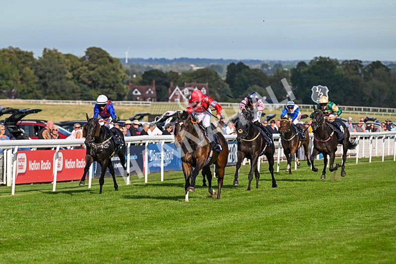 220926-Race 5-Go Victor-4342 - Race 5 3.50pm John Allinson 90th Birthday Handicap