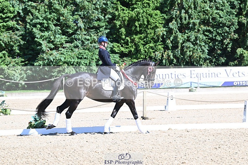 240811-154103-06777 - Inter I Gold