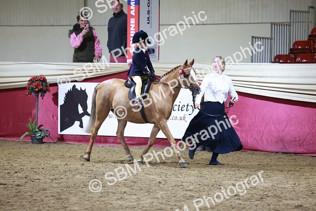 SBM_21529 - Class V - Champion of Champions