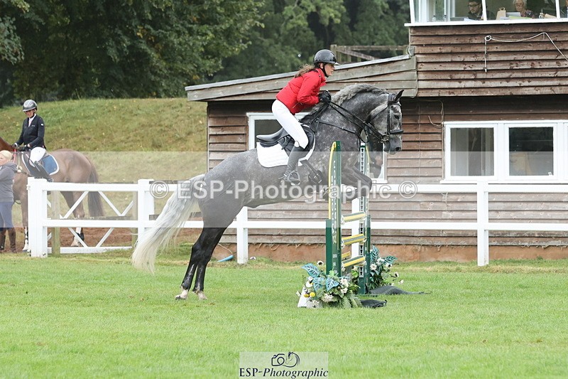 250830A-121501-06369 - Cls 15 5 Year Old Qualifier