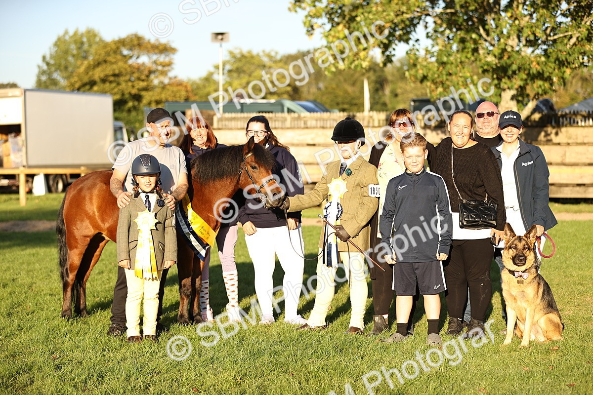 SBM_30168 - Novice & Newcomers Supreme Championship