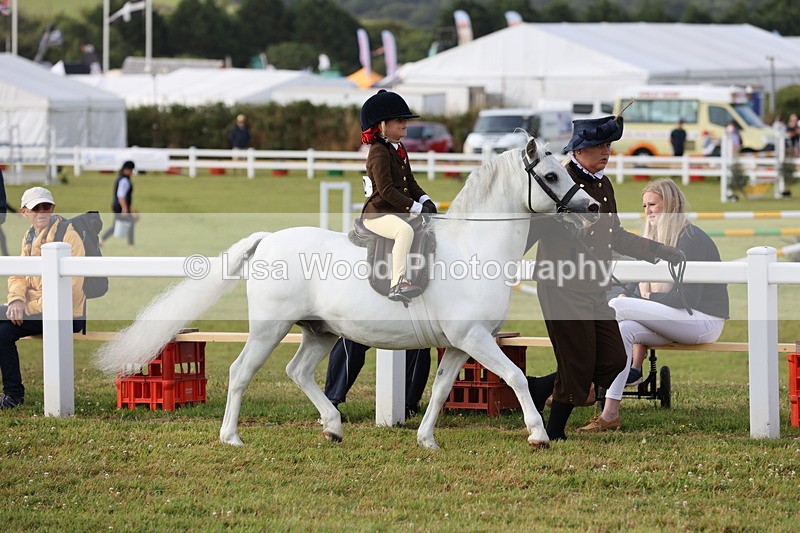 JPP_0250 - Class 14: Cornish Combination Leading Rein