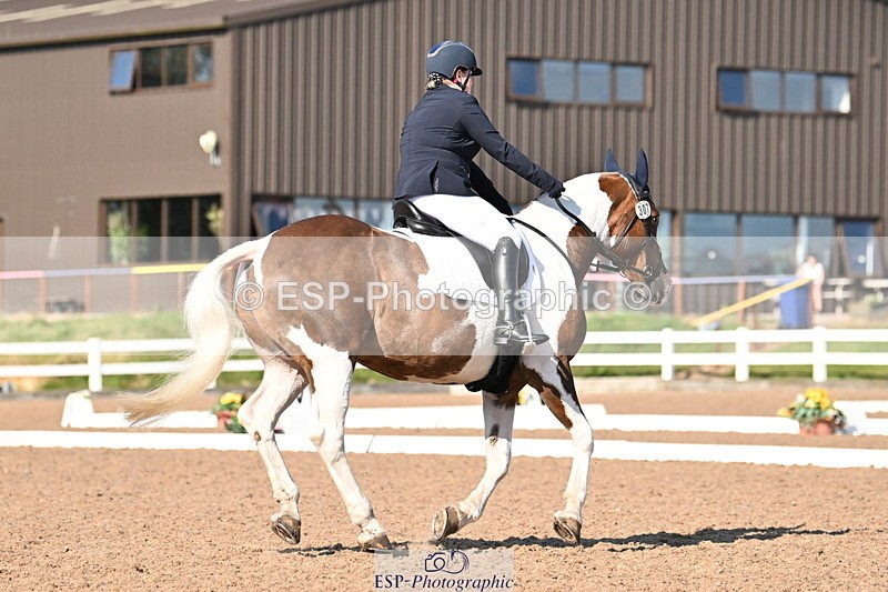 240816A-164929-06283 - 307-Rachel.Cook-Tiger.lily.vi