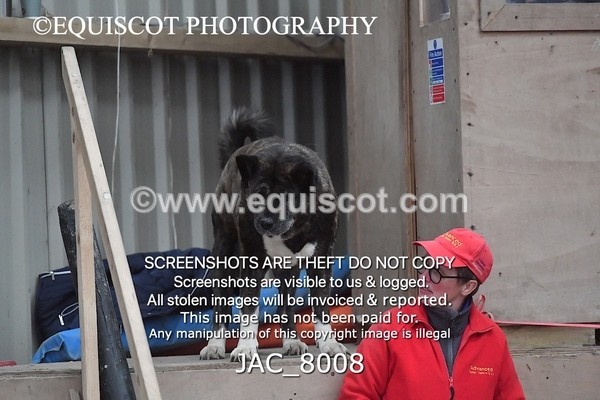 JAC_8008 - Class 8 & 9 -  Arena Eventing Pony Club Barrier Spring Festival 1m Qualifier / Class 9 Arena Eventin