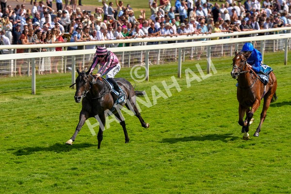 160623-Race 4-Chichester-6331 - Race 4 3.35pm Seat Unique Ganton Stakes