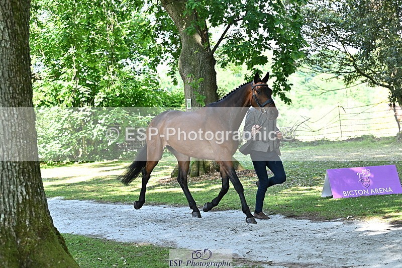 250521A-154146-00696 - B-351-Will.Rawlin-MACKENZY