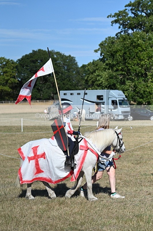 WJ7_2360 - Class 45 Fancy Dress (My Fav)