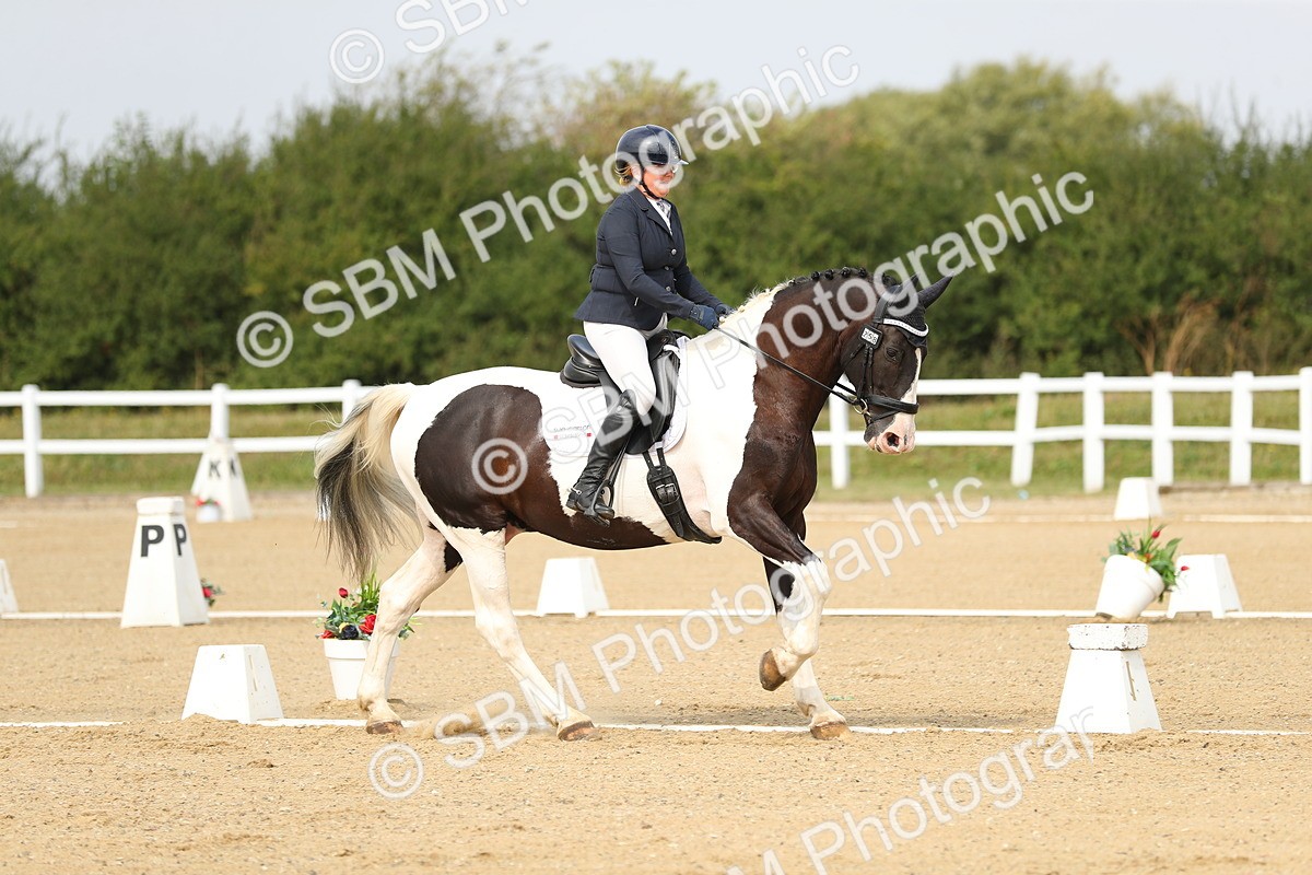 SBM_017269 - Class 13 - Novice 23 - 13.31-14.13