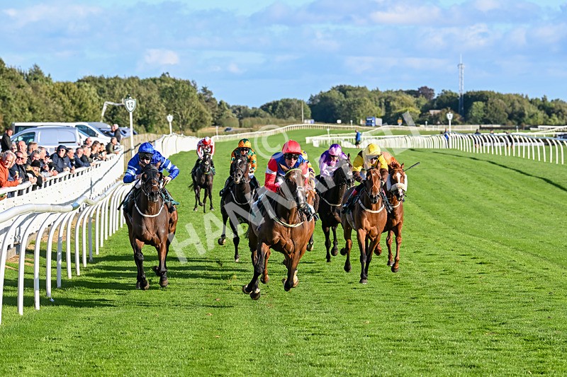 100924-Race 7-Desert Dream-0692 - Race 7