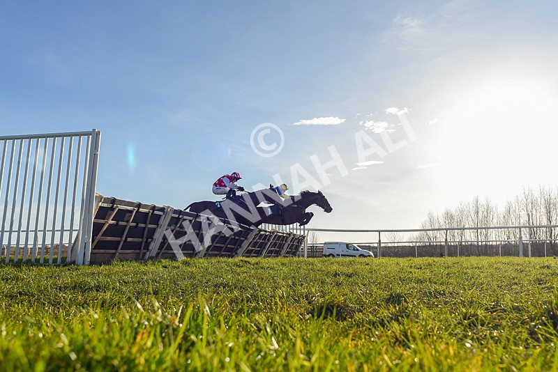 050325-Race 4-Hostile Hotelier-3329 - Race 4