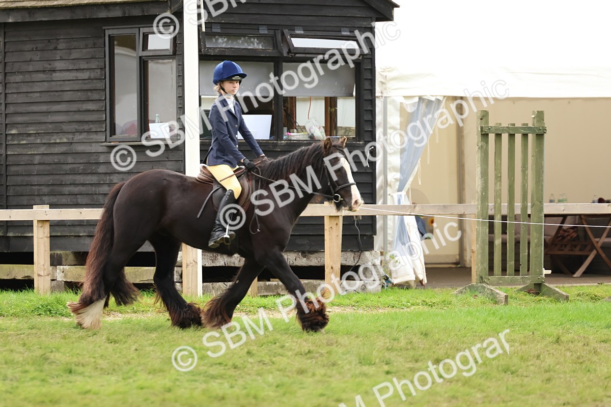 SBM_67544 - S60 - Mini Show Cob Ridden