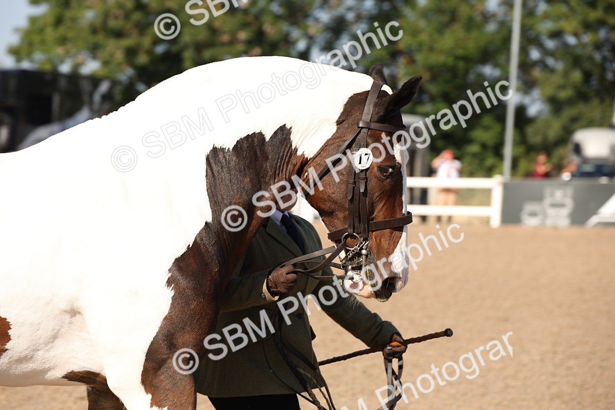 SBM_01516 - Class 15 IH Coloured