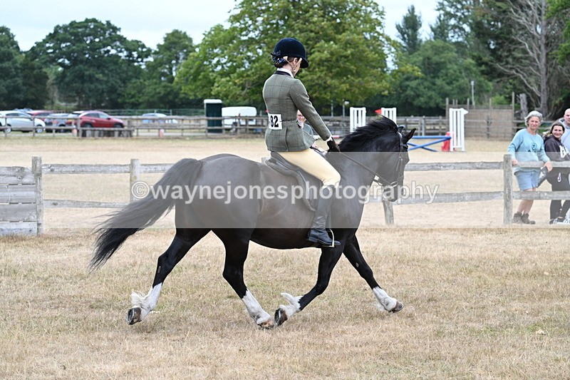 WJ7_0470 - Class 6 Ridden Mountain and Moorland