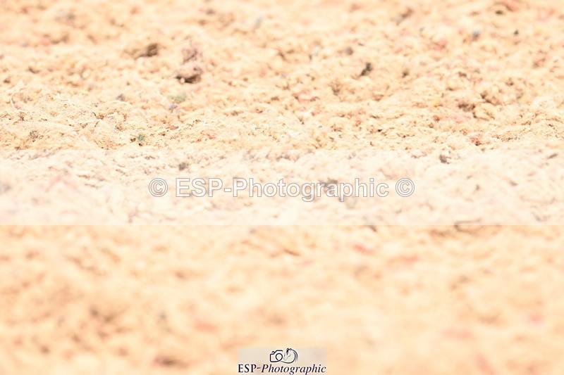 240621A-120754-02056 - Cls 7 BD Elementary 45