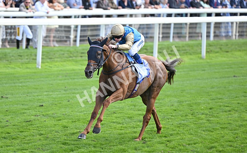 220826-006 Archivist - Race 1 13.50pm Sky Bet Strensall Stakes